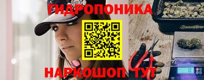 крисы Будённовск
