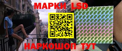 крисы Будённовск