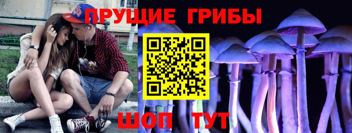 Арсеньев  Галлюциногенные грибы Magic Shrooms  продажа наркотиков  Псилоцибиновые грибы Cubensis  Вход с VPN 