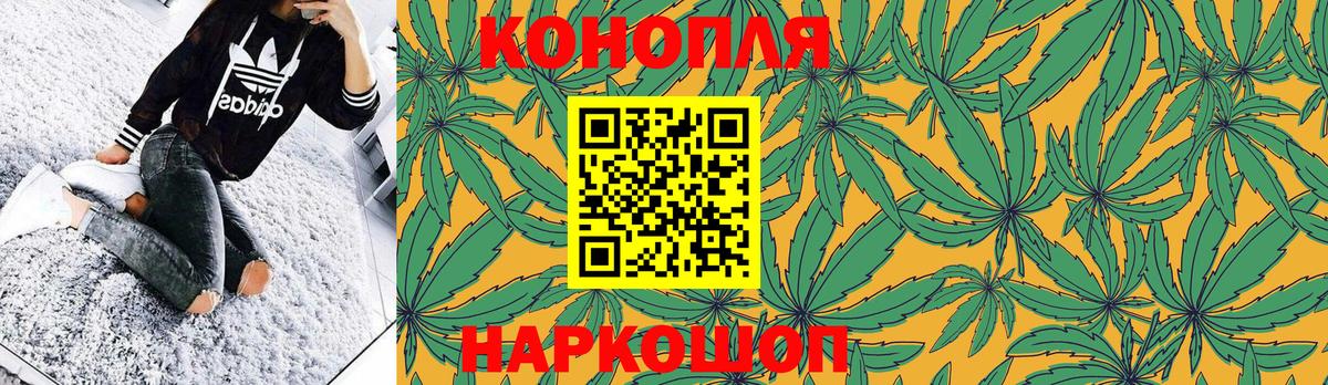 Канабис OG Kush  Каннабис план  Арсеньев  Конопля планчик  Вход с VPN  Марихуана план 